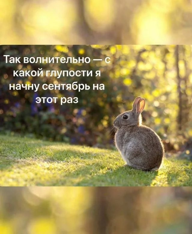 Смешные скрины из соцсетей #103