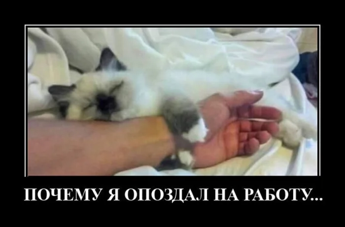 Жизненные демотиваторы