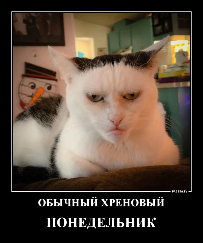 Жизненные демотиваторы