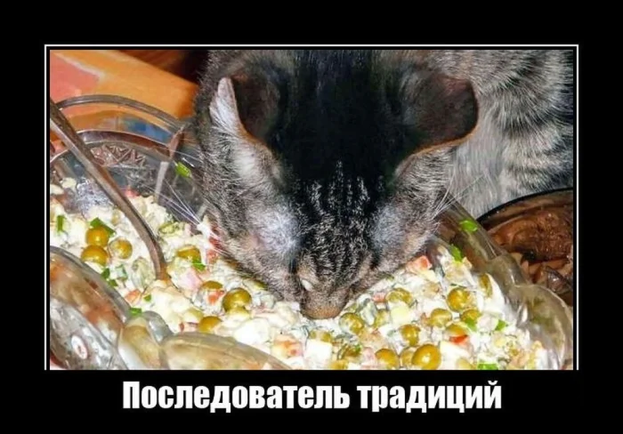 Жизненные демотиваторы