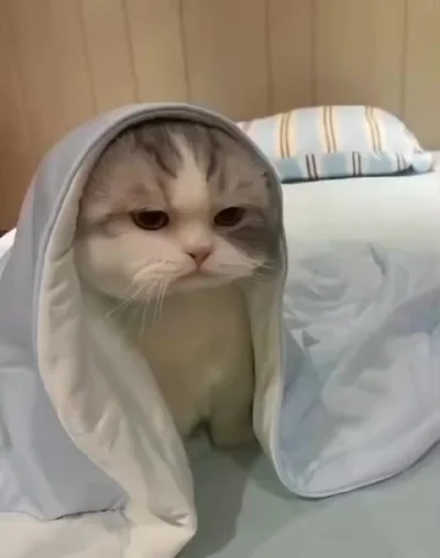 Снова просыпаться?