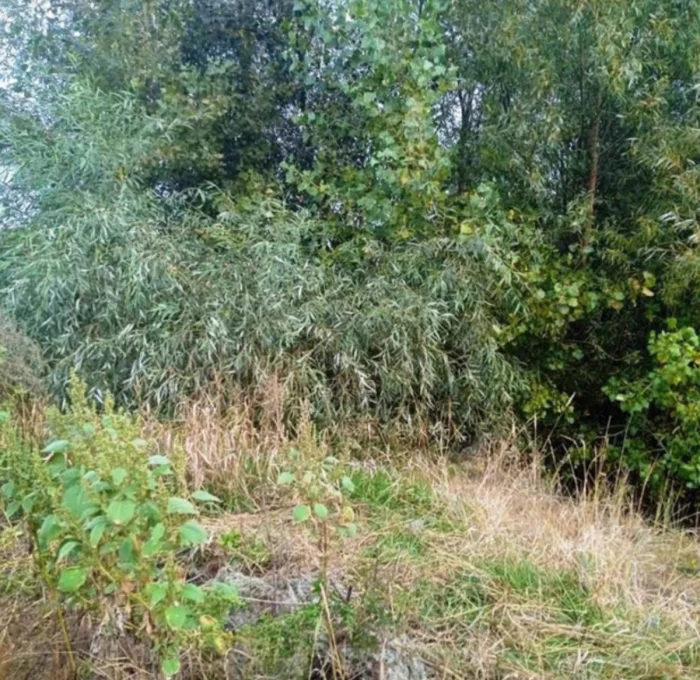 Место преступления