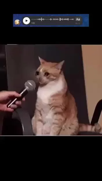 Типичное тз от заказчика