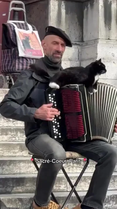 Музыкальная пауза!