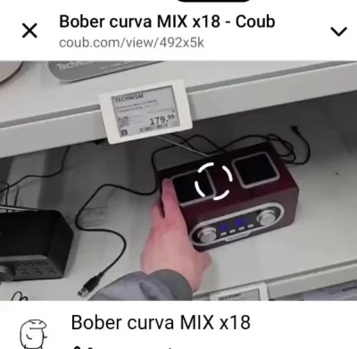Живущему в Польше и проигравшему на Пикабу в споре @dzianiska, посвящаю 18 треков - Бобр, курва, я пердоле!