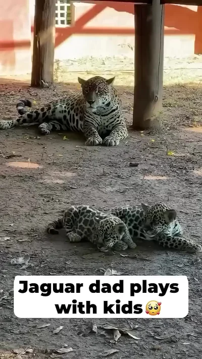 Батя играется с детьми