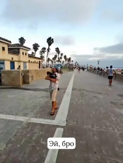 Можно погладить?