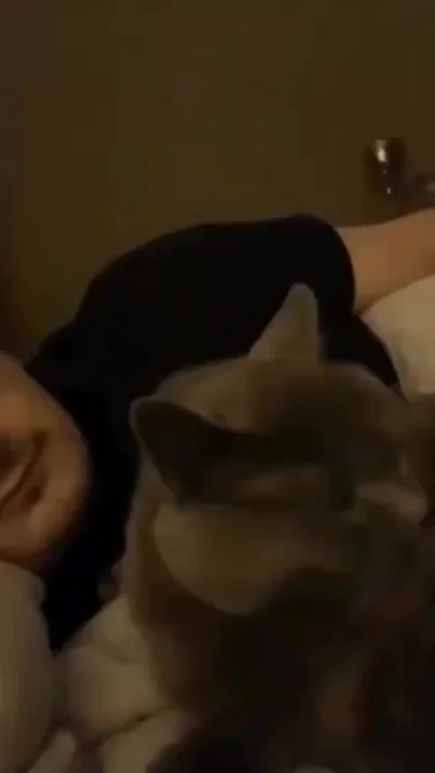 Это вот щас что было?