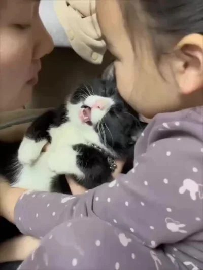 Перечувствовал