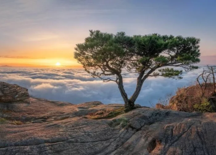 Получается всё вразнобой