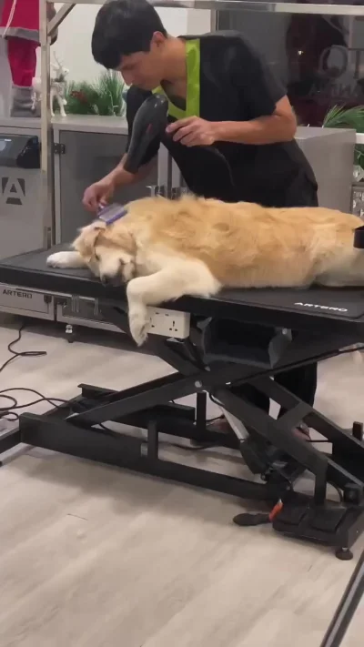 Ладно, я устал сопротивляться, делай что хочешь