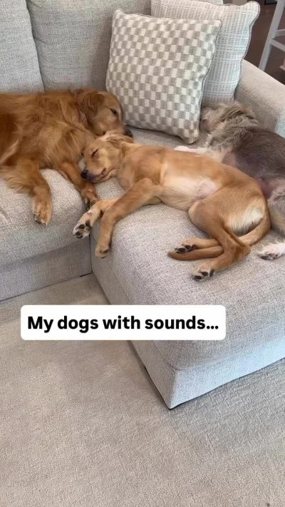 И так всегда