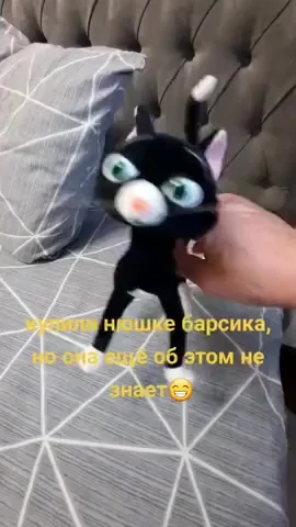 Подружились!