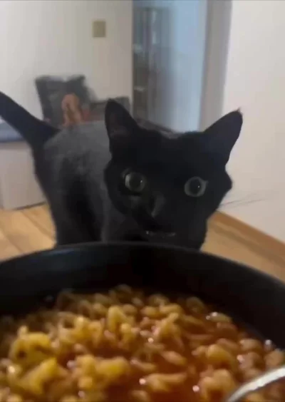 Оо лапшичка