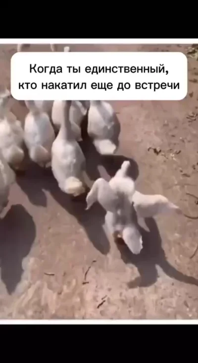 И сразу веселее стало