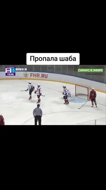 Пропала шайба