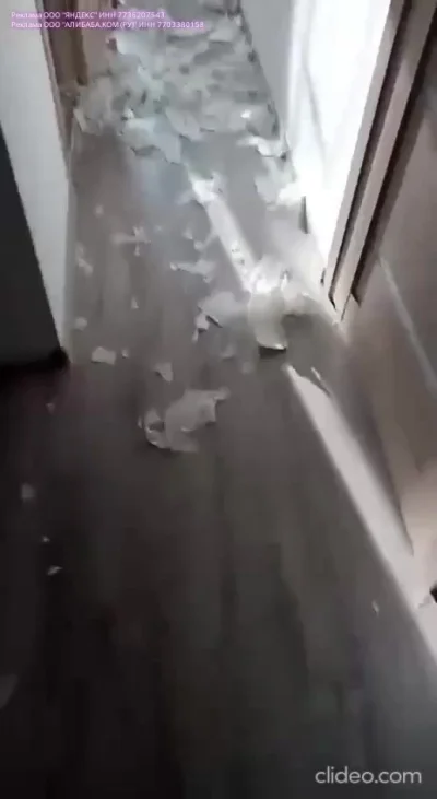 Мне сегодня весело с самого утра