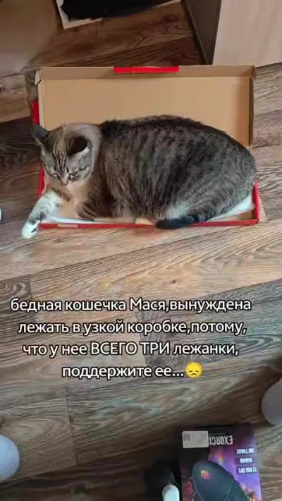Коробка Маси