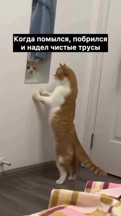 Котовое. Вот она, истинная красота!