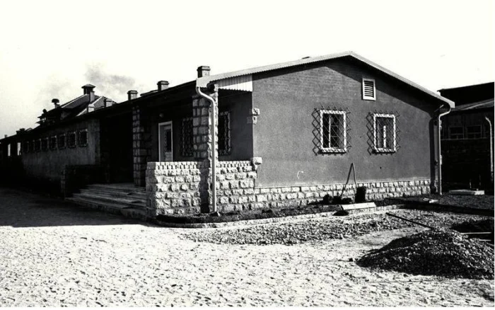 Пленницы «Кукольного дома»: история, от которой холодеет кровь