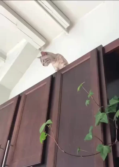 Хмм очень интересна