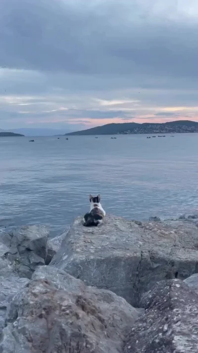 На небе только и разговоров, что о море и о закате