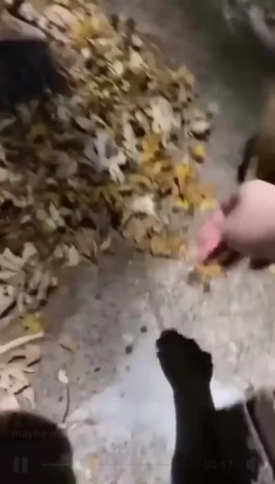 Господи, куда это я забрёл...