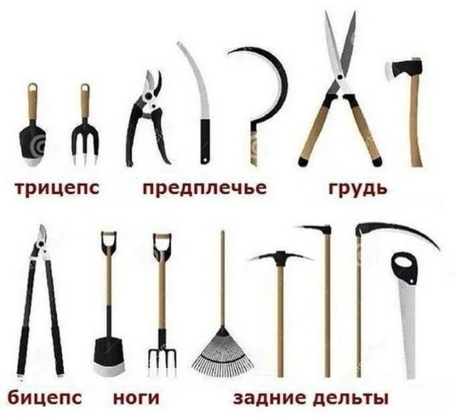 Смешные скрины из соцсетей #125