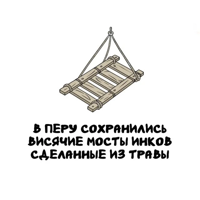 Неожиданные факты, которые пригодятся каждому