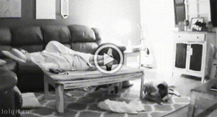 Разнообразные ГИФки #202