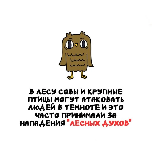 Факты обо всём