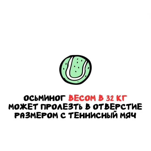 Подборка интересных фактов на все случаи жизни