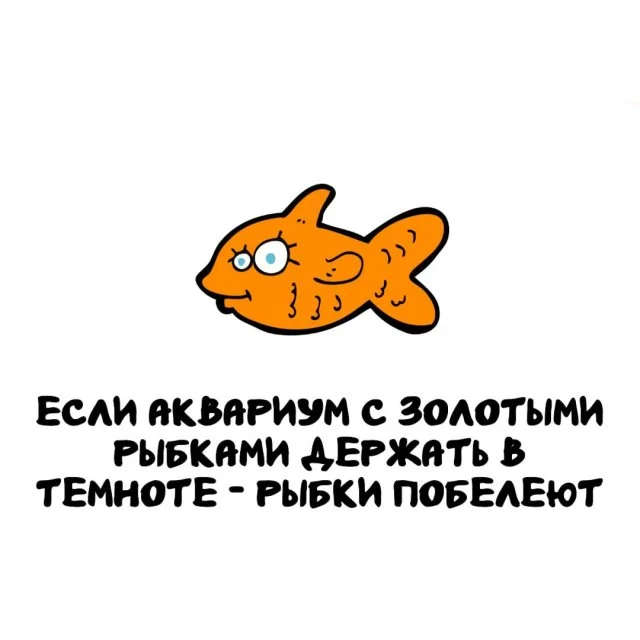 Подборка интересных фактов на все случаи жизни