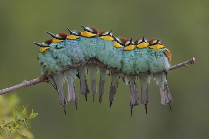 20 оптических иллюзий, показывающих, как мозг нас обманывает