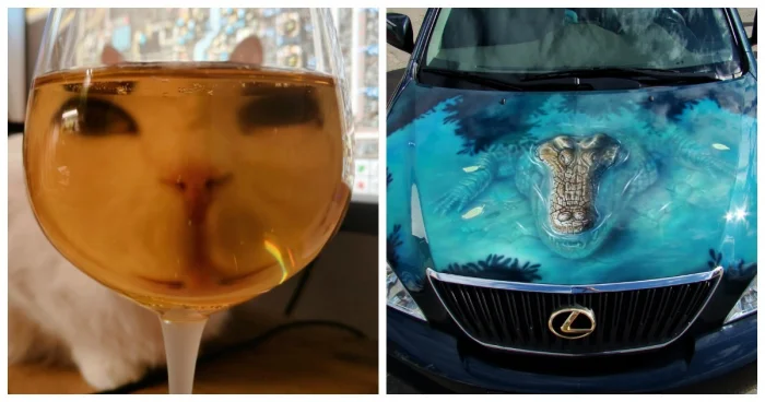 20 смешных ситуаций, которые напоминают: радость рядом