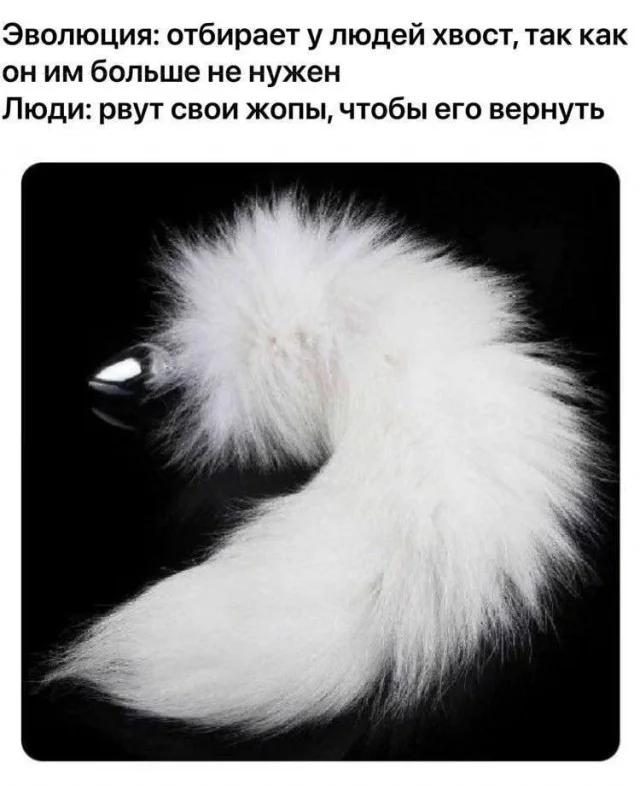 Юмор сугубо для взрослых