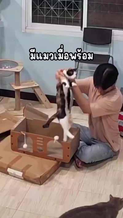 Ангельское терпение