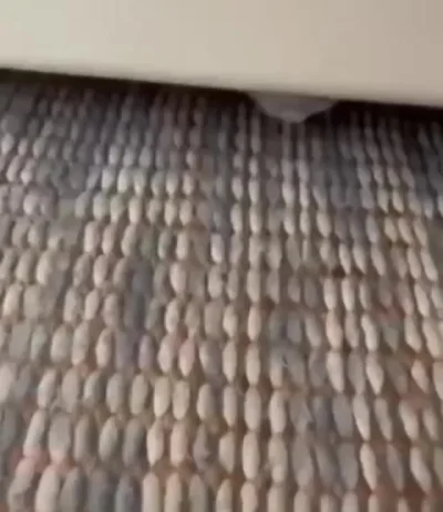 Эта коллекция уже устарела