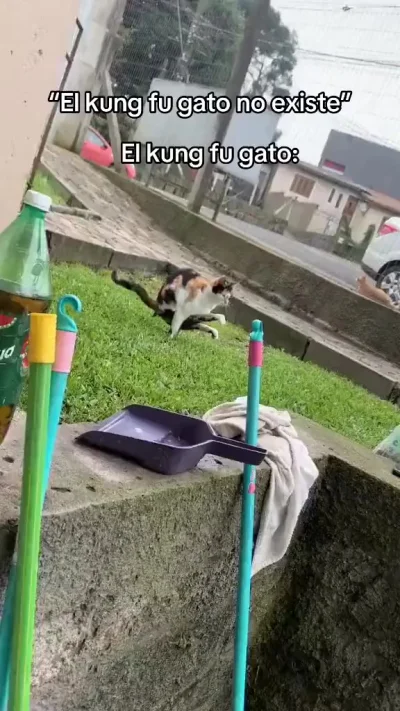 Утро начинается не с кофе