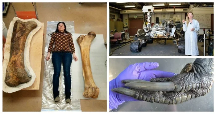 30 фото, раскрывающих настоящий масштаб привычных вещей