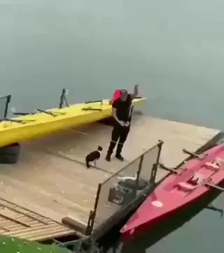 Кот своё возьмёт (а не своё покусает)