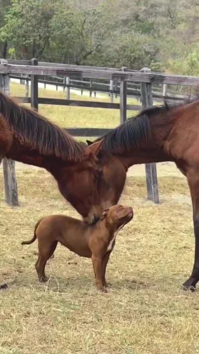 Блаженство