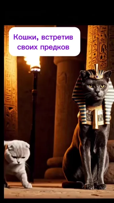 Такие разные потомки