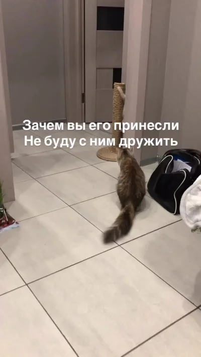 Зачем вы его принесли? Не буду с ним дружить!