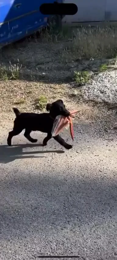 Сорвал джекпот