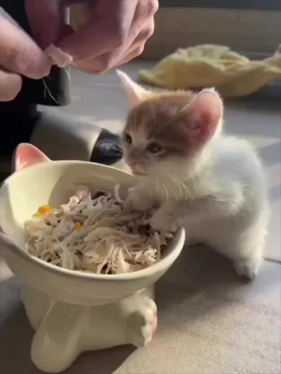 Какой же вы вкусновый, мистарб курец