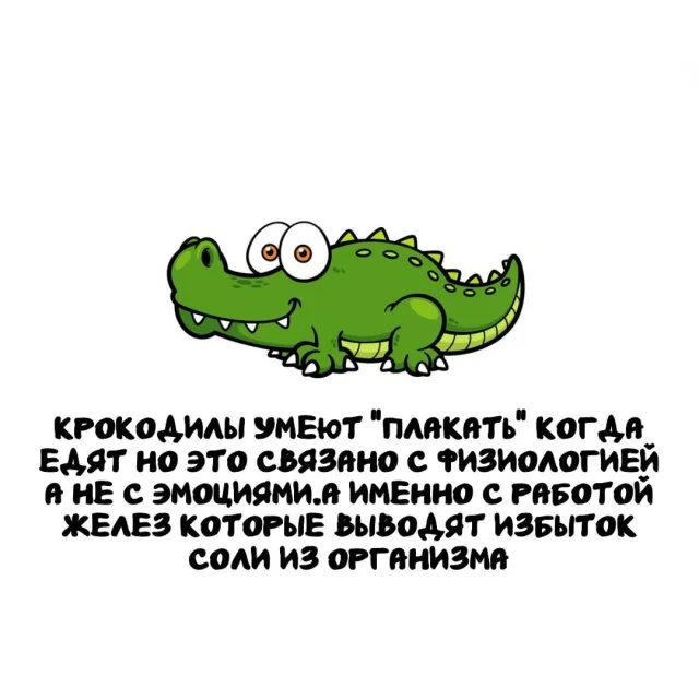 Факты, которые пригодятся каждому: интересно обо всём