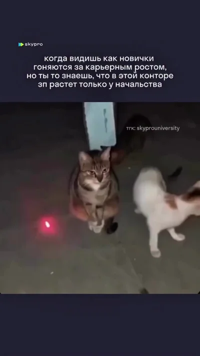 Опыт