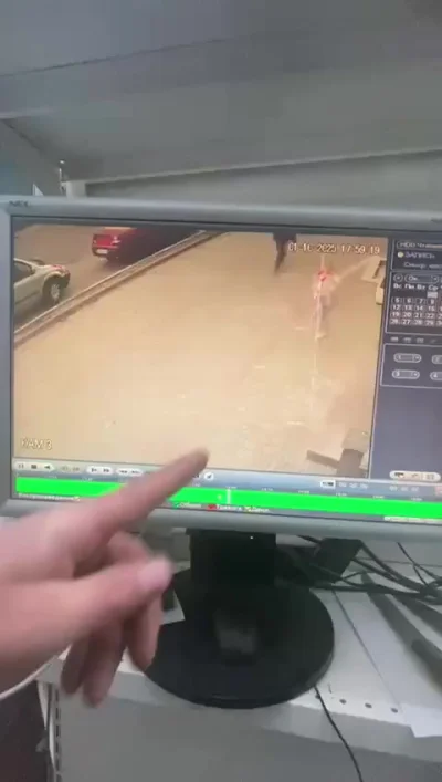 Прохожий спас маленькую девочку от похитителя в Подмосковье