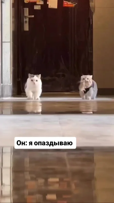 Опаздывают